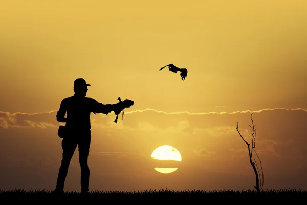 Falkner bei Sonnenuntergang — Stockfoto