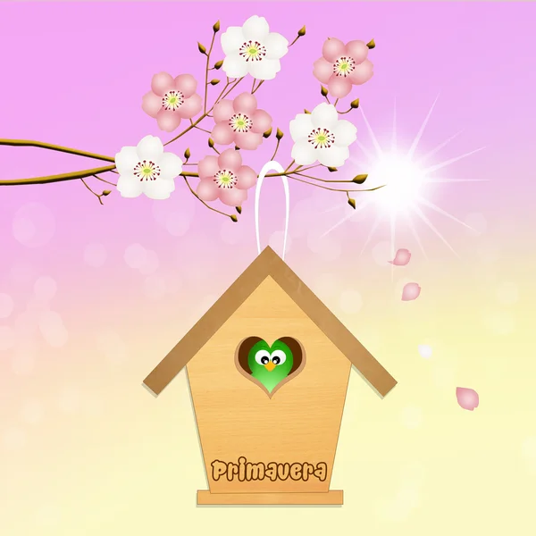 Birdhouse en primavera — Foto de Stock