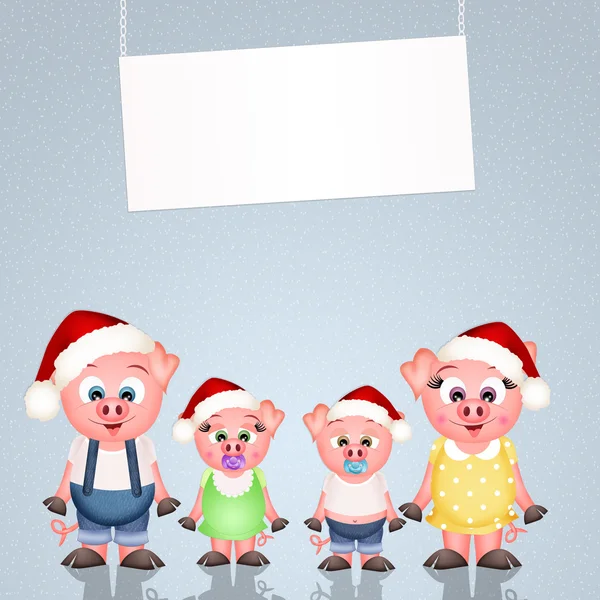 Pigs at Christmas — Stock Photo, Image