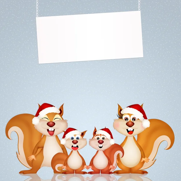 Squirrels at Christmas — Stock Photo, Image