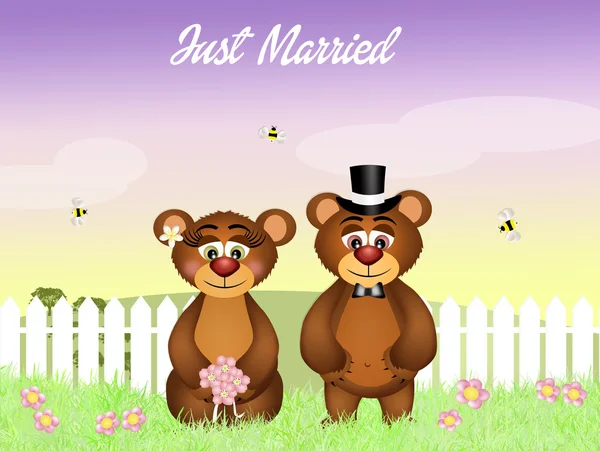 Wedding of bears — Stock Photo, Image