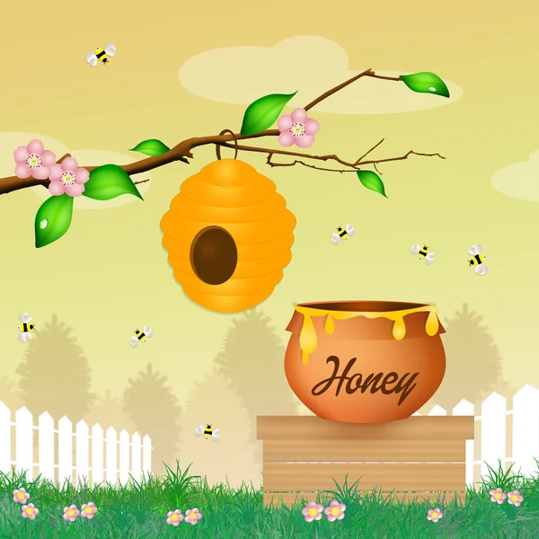 Honig — Stockfoto