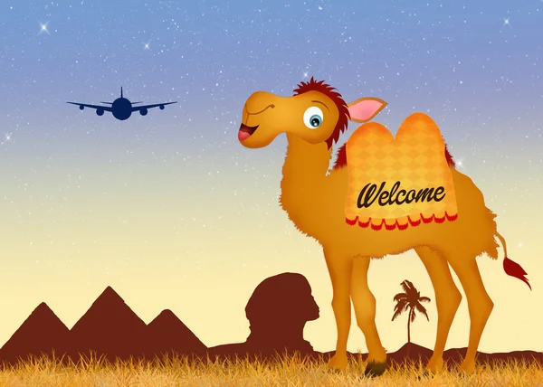 Welcome in Egypt — Stock Photo, Image