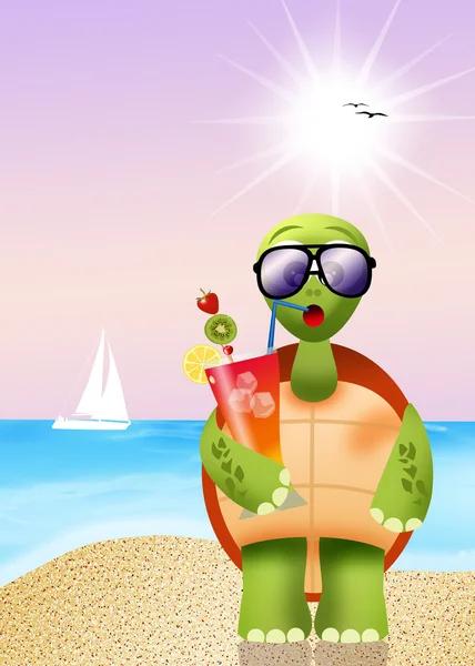 Turtle drink cocktail — Stockfoto