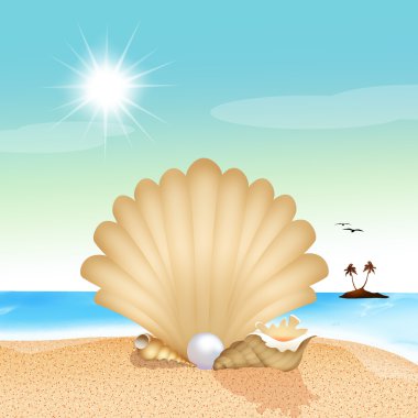 Kumsalda deniz kabuğu