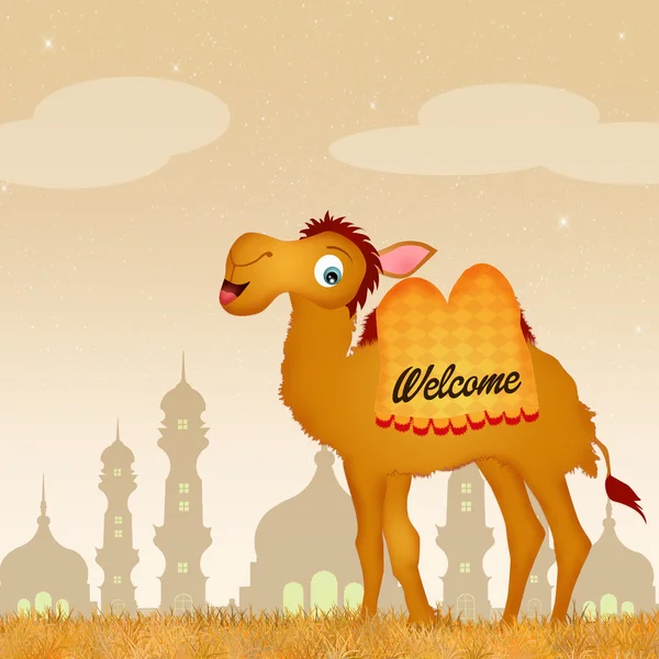 Welcome in India — Stock Photo, Image