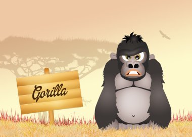 goril