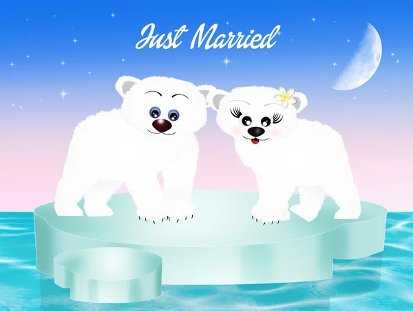 白い熊の結婚 — ストック写真
