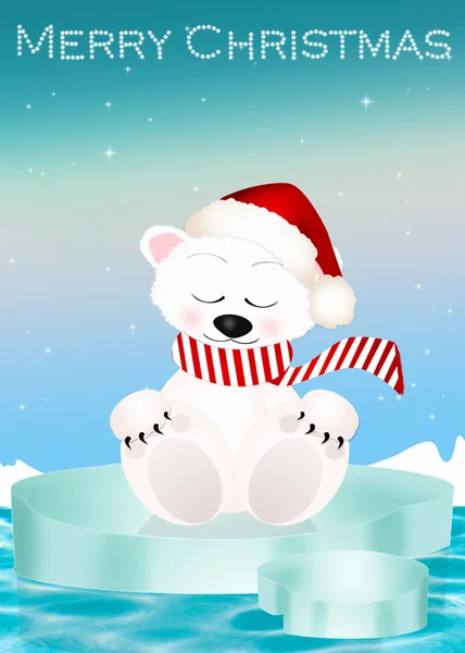 Lední medvěd na Vánoce — Stock fotografie