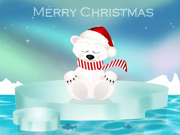 Белый медведь на Рождество — стоковое фото