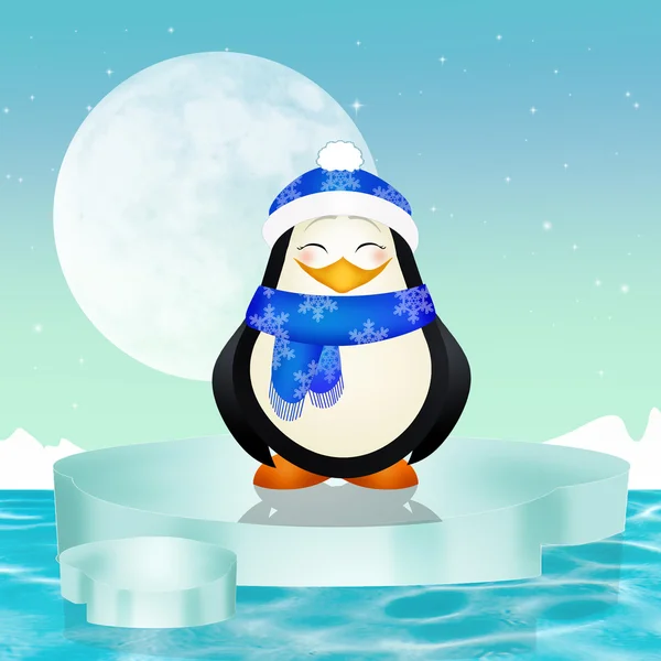 Penguin on iceberg — Stock Photo, Image