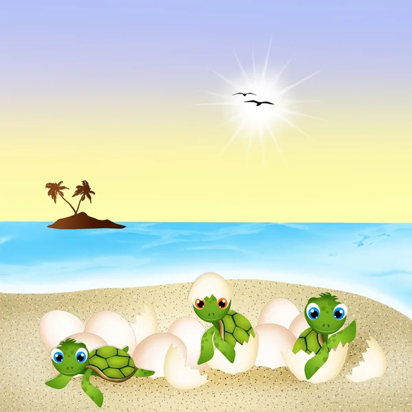 Birth of sea turtles — Stock Photo, Image