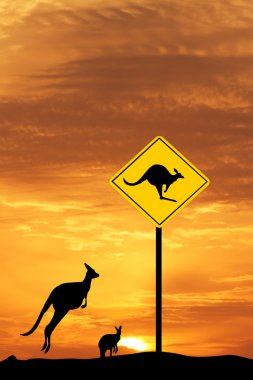 Kanguru gün batımında
