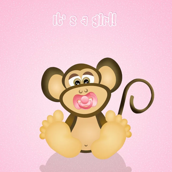 아기 원숭이 — 스톡 사진