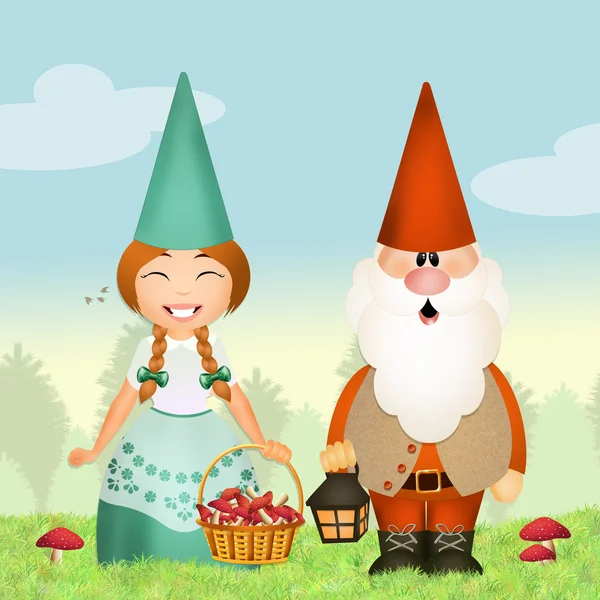 Gnomes in the wood — Stock Photo, Image