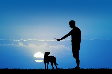 Gün batımında eğitimli köpek