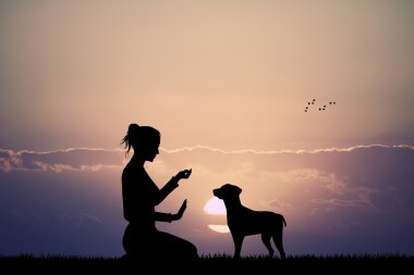 gün batımında antrenman ör köpek