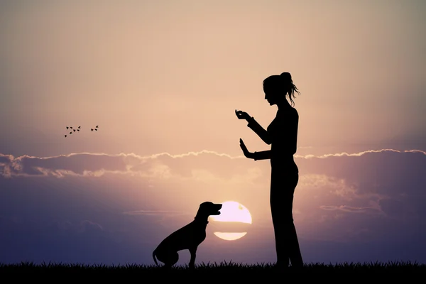 Woman trains dog at sunset — Stock Photo, Image