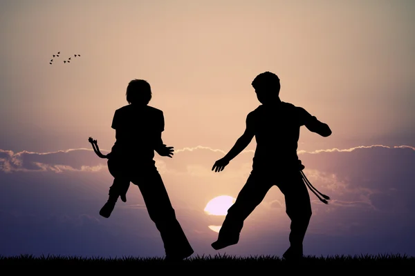 Capoeira ao pôr do sol — Fotografia de Stock