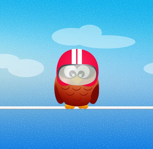 Owl motorciclyst — Stock Photo, Image