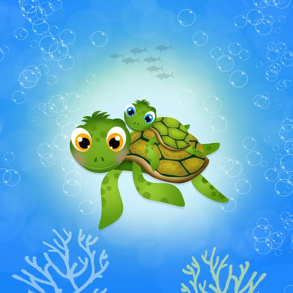 Malá mořská želva — Stock fotografie