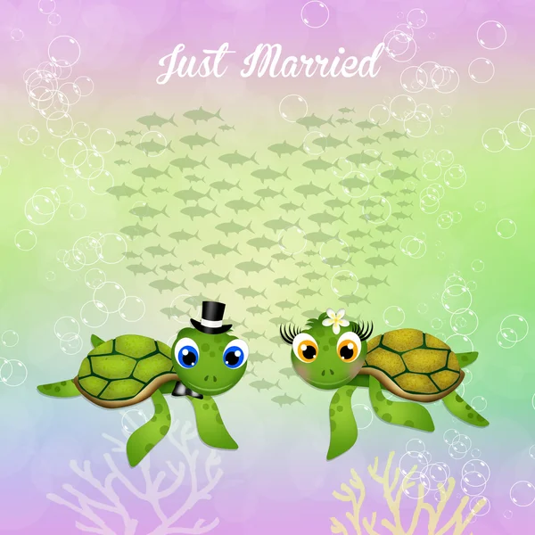 Düğün Deniz kaplumbağaları — Stok fotoğraf