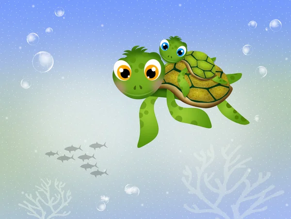Komik deniz kaplumbağası — Stok fotoğraf
