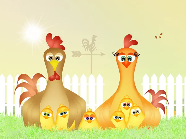 Familie van kippen — Stockfoto