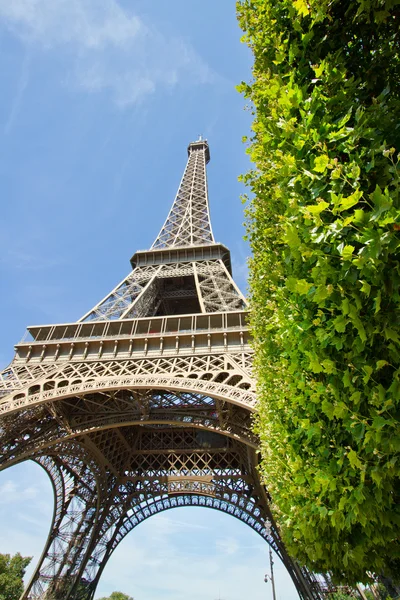 埃菲尔铁塔、 巴黎 — 图库照片