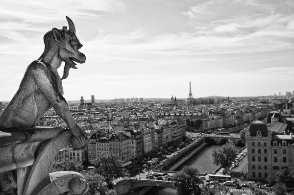 Gárgola de Notre Dame — Foto de Stock