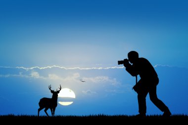 doğa fotoğrafçısı