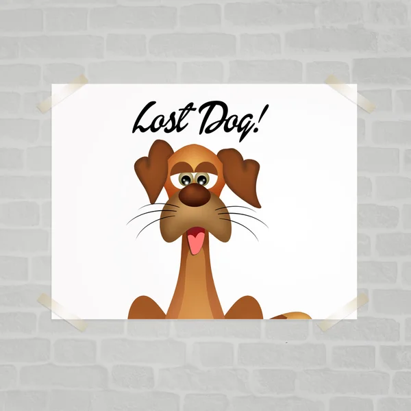 Lost dog — Stock Photo, Image