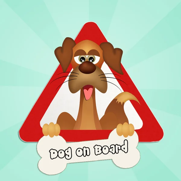 Dog on board — Stock Photo, Image