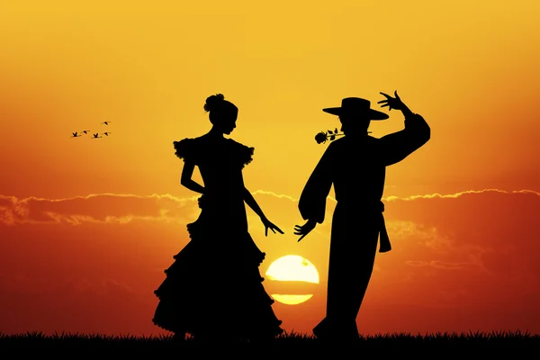 Flamenco at sunset — Stock Photo, Image