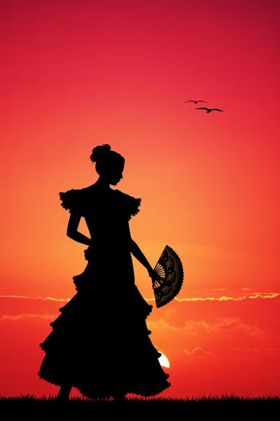 Flamenco bij zonsondergang — Stockfoto