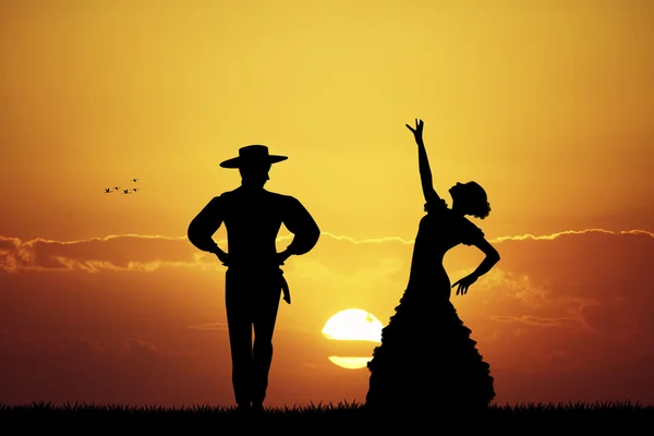 Фламенко на закате — стоковое фото