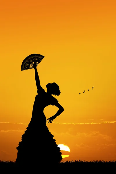 Flamenco ao pôr do sol — Fotografia de Stock