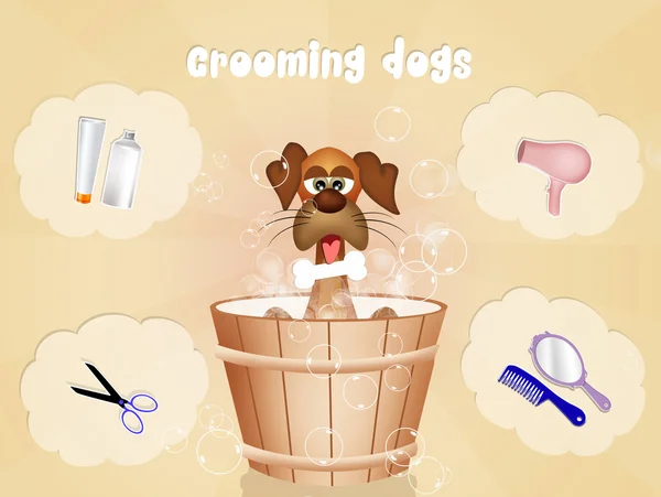 Grooming dogs — Stock Photo, Image