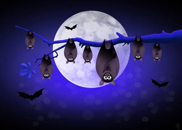 Pipistrelli di Halloween — Foto Stock