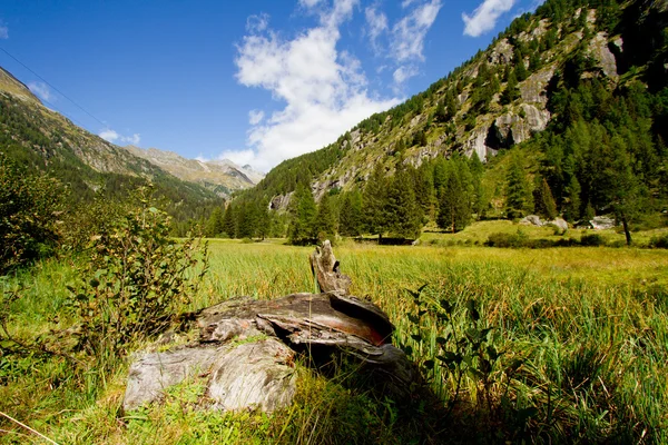 Val di fumo, Trento — Stockfoto