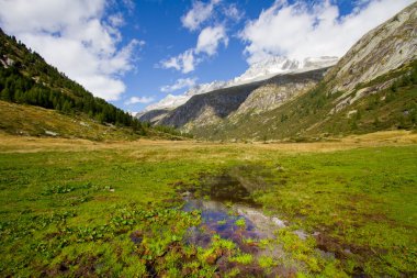Val di Fumo, Trento