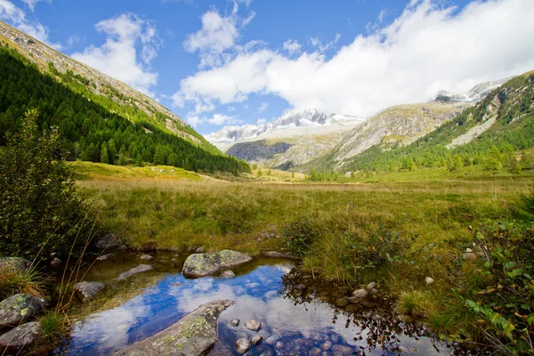 Val di Fumo, Trento — Foto Stock