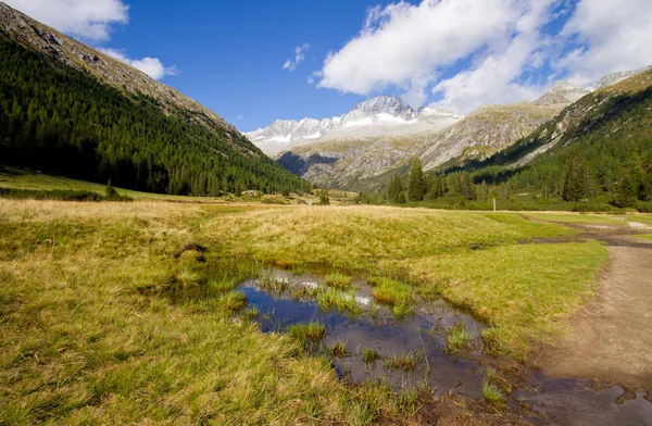 Val di Fumo, Trento — Stock fotografie