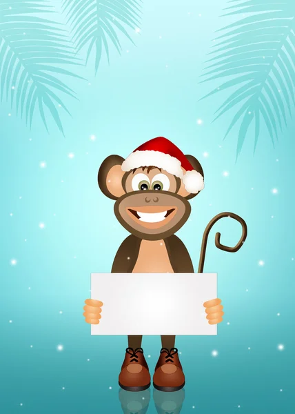 Monkey at Christmas — Stock Photo, Image