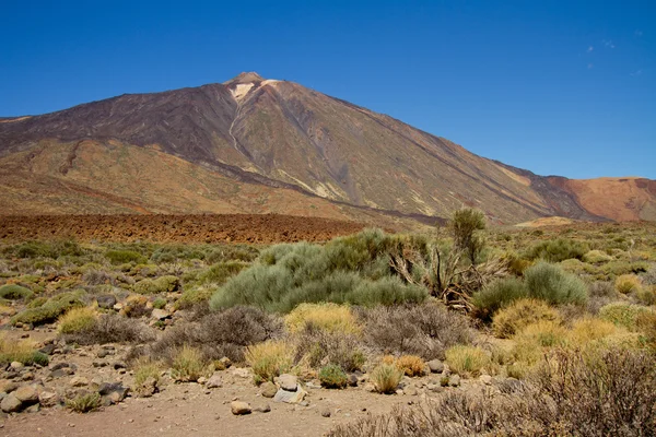 Volcan del Teide, Tenerife — Foto de Stock