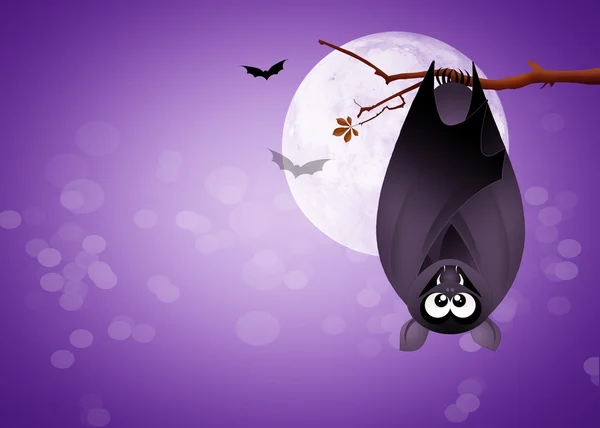 Halloween murciélago colgando —  Fotos de Stock