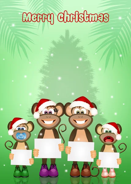 Monos en Navidad —  Fotos de Stock