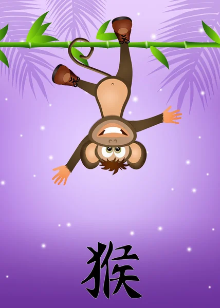 Year of the monkey — Stock Photo, Image