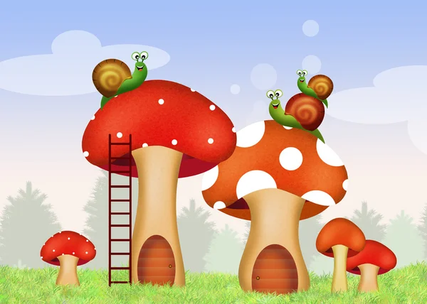 Hlemýždi na houby domů — Stock fotografie