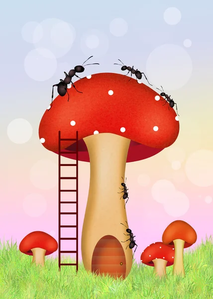 Formiche sui funghi — Foto Stock